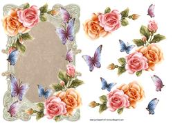 Roses or Butterflies