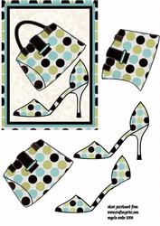 Fashion Bag and Shoes