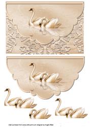 Swans in Love