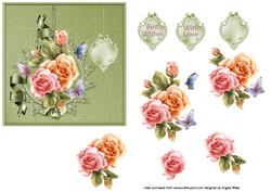 Timeless Rose