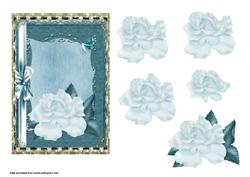 Morning Dew