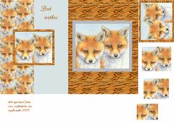 Two Fox Cubs