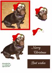 Christmas Lab