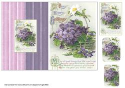 Violets Birthday