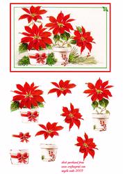 Christmas Flowers