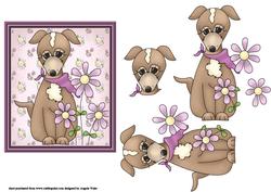 Daisy Puppy