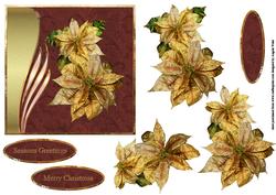 Gold Poinsettia