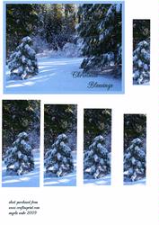 Winterland