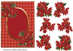 Red Poinsettias