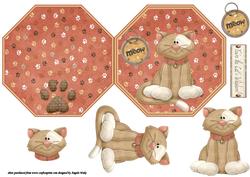 Coco the Cat