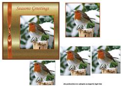 Robin Redbreast