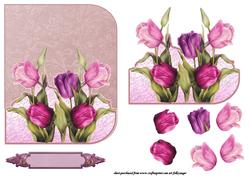 Spring Tulips
