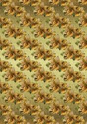 Gold Poinsettia