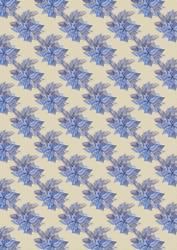 Blue Poinsettia