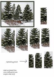 4trees in the Park