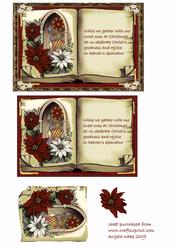 Poinsettia and Church Window