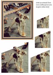 The Shoe Chewer