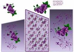 Purple Morning Glory