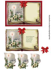 White Poinsettia and Holly
