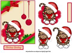 Christmas Cat and Baubles