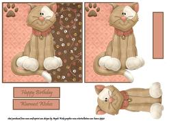 Cute Cat