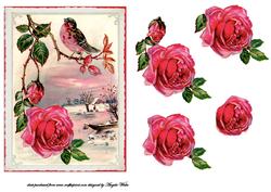 Christmas Rose