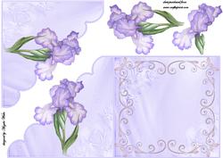 Purple Iris Cut and Fold