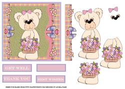 Daisy Bear