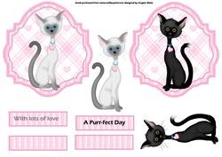 Purr-fect Kittens