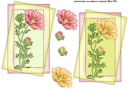 Daisy Floral Card Fronts