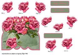 Container of Roses