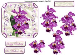 Purple Flowers