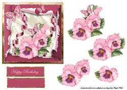 Pink Pansy