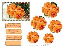 Orange Rose and Baby Breath