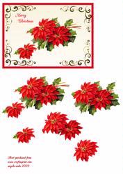 Poinsettia Christmas Flower