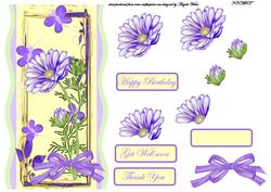 Purple Daisy