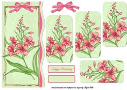 Pinks Flowers