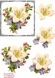 Florals of Thanks