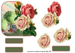 Roses with a Vintage Theme