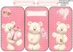 Three Little Bears