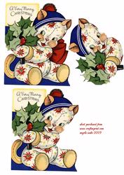 Poinsettia Kitten