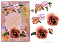 Pansy Front