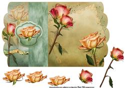 Rose Scallop Fold Back