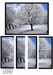 Winter Wonderland Snow Covered Trees