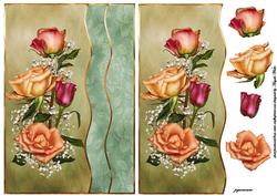 Lovely Rose's