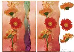 Gerbera Card Front