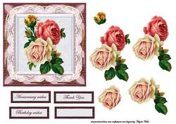 Roses and Lace
