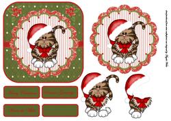 Cat Dressed for Christmas