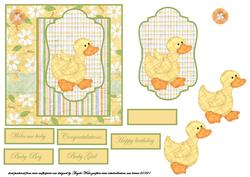 Daisy Chick