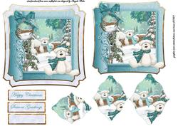 Teddy Wonderland